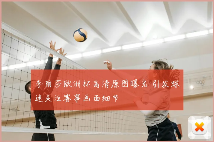 李丽莎欧洲杯高清原图曝光 引发球迷关注赛事画面细节
