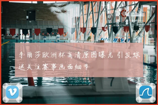 李丽莎欧洲杯高清原图曝光 引发球迷关注赛事画面细节
