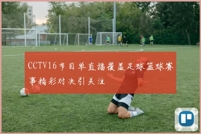 CCTV16节目单直播覆盖足球篮球赛事精彩对决引关注